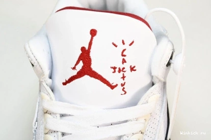 Travis 3 Jordan Air x “Palomino” Scott 0801